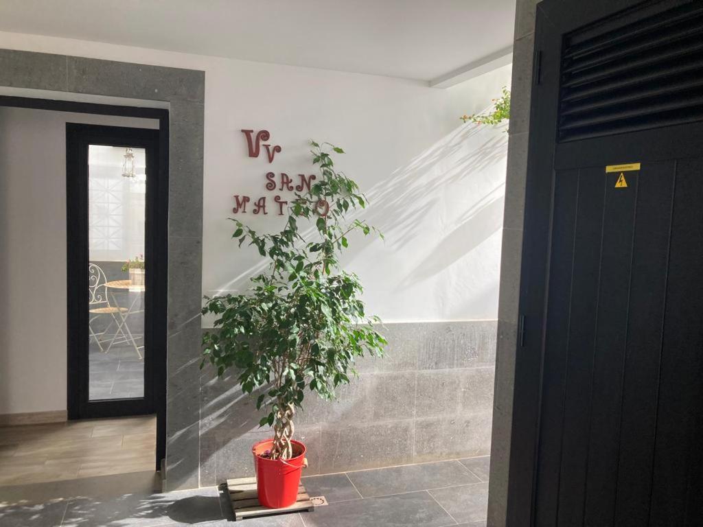 Viviendas Vacacionales San Mateo Vega de San Mateo Εξωτερικό φωτογραφία