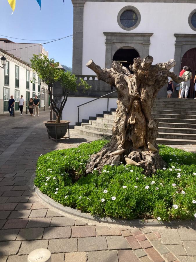 Viviendas Vacacionales San Mateo Vega de San Mateo Εξωτερικό φωτογραφία